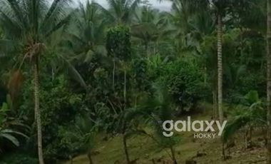 DIJUAL TANAH STRATEGIS BEAUTIFUL VIEW ANTOSARI PUPUAN TABANAN, BALI