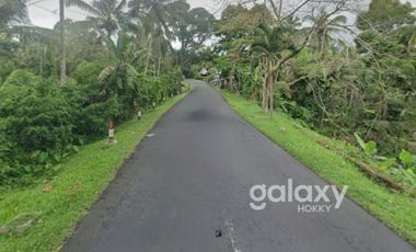 DIJUAL TANAH STRATEGIS BEAUTIFUL VIEW ANTOSARI PUPUAN TABANAN, BALI