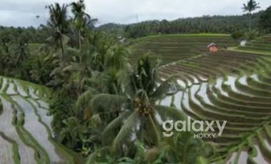 DIJUAL TANAH STRATEGIS BEAUTIFUL VIEW ANTOSARI PUPUAN TABANAN, BALI