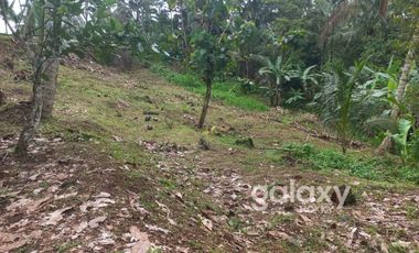 DIJUAL TANAH STRATEGIS BEAUTIFUL VIEW ANTOSARI PUPUAN TABANAN, BALI