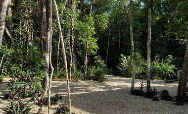 TU CASA RODEADA DE NATURALEZA, LOS ARBOLES TULUM
