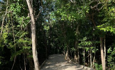 TU CASA RODEADA DE NATURALEZA, LOS ARBOLES TULUM