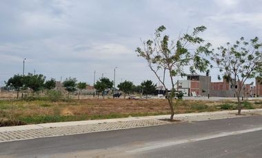 TERRENO EN VENTA –  EN ESQUINA -URB.BOULEVARD PARK PLAZA - CASTILLA-PIURA