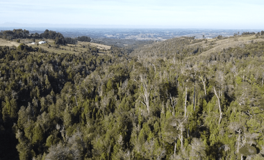 Campo en venta en Río Frío de 8,6 Hectáreas Con Hermosa Vista!