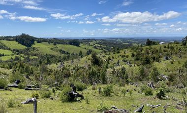 Campo en venta en Río Frío de 8,6 Hectáreas Con Hermosa Vista!