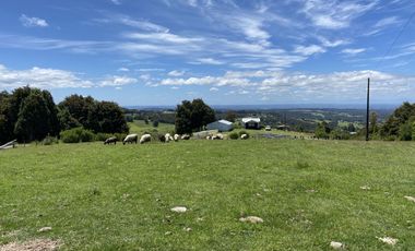 Campo en venta en Río Frío de 8,6 Hectáreas Con Hermosa Vista!