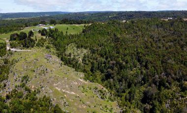 Campo en venta en Río Frío de 8,6 Hectáreas Con Hermosa Vista!