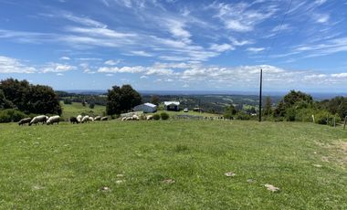 Campo en venta en Río Frío de 8,6 Hectáreas Con Hermosa Vista!