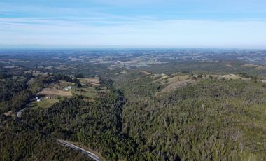 Campo en venta en Río Frío de 8,6 Hectáreas Con Hermosa Vista!