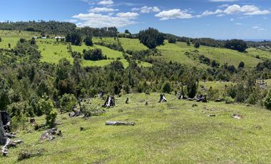 Campo en venta en Río Frío de 8,6 Hectáreas Con Hermosa Vista!