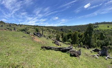 Campo en venta en Río Frío de 8,6 Hectáreas Con Hermosa Vista!