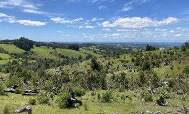 Campo en venta en Río Frío de 8,6 Hectáreas Con Hermosa Vista!