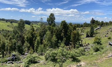 Campo en venta en Río Frío de 8,6 Hectáreas Con Hermosa Vista!