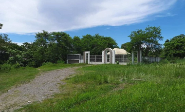 FOR SALE - Residential Vacant Lot in General Tinio, Nueva Ecija