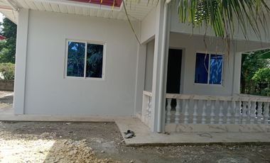 1 STOREY SINGLE DETACHED HOUSE AND LOT FOR SALE