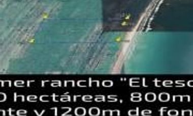 Ranchos en Venta en Tamiahua, Ideal Para Inversionistas