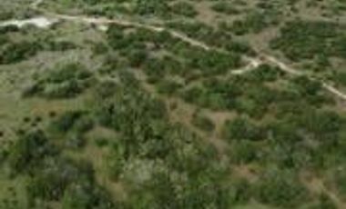 Ranchos en Venta en Tamiahua, Ideal Para Inversionistas