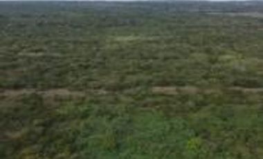 Ranchos en Venta en Tamiahua, Ideal Para Inversionistas