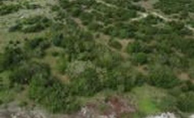 Ranchos en Venta en Tamiahua, Ideal Para Inversionistas