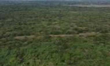 Ranchos en Venta en Tamiahua, Ideal Para Inversionistas
