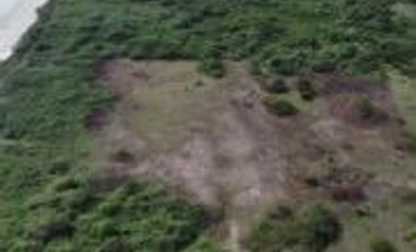 Ranchos en Venta en Tamiahua, Ideal Para Inversionistas