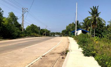 7,433 square meter commercial lot for sale located in Barangay Tawala, Panglao