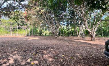 ¿Quieres construir tu casa en un lugar tranquilo, cerca de Tarapoto? Tenemos lotes disponibles, y puedes diseñar tu casa a tu gusto.