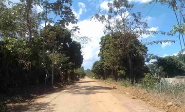 ¿Quieres construir tu casa en una zona tranquila, cerca de Tarapoto? Aprovecha, vivir aquí es un privilegio.