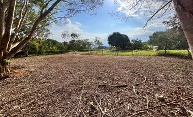 ¿Quieres construir tu casa en un lugar tranquilo, cerca de Tarapoto? Tenemos lotes disponibles, y puedes diseñar tu casa a tu gusto.