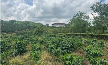 VENDO ESPECTÁCULAR FINCA 17 CUADRAS, No dejes pasar esta oportunidad única de adquirir tu propio pedazo de paraíso en uno de los lugares más privilegi