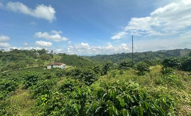 VENDO ESPECTÁCULAR FINCA 17 CUADRAS, No dejes pasar esta oportunidad única de adquirir tu propio pedazo de paraíso en uno de los lugares más privilegi