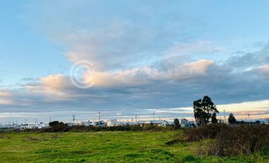 EXCELENTE TERRENO EN RADIO URBANO - LOS MUERMOS