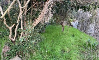 SE VENDE CASA CON AMPLIO TERRENO EN LO GALLARDO