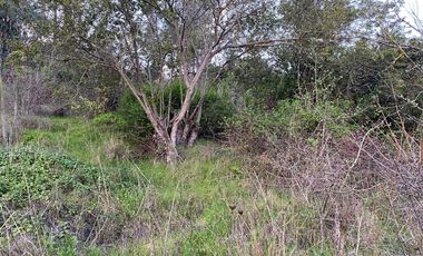 SE VENDE CASA CON AMPLIO TERRENO EN LO GALLARDO