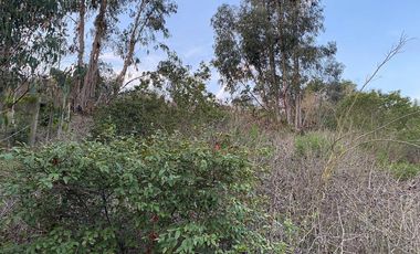 SE VENDE CASA CON AMPLIO TERRENO EN LO GALLARDO