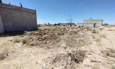 TERRENO EN LA CABAÑA OLMOS EN TIZAYUCA