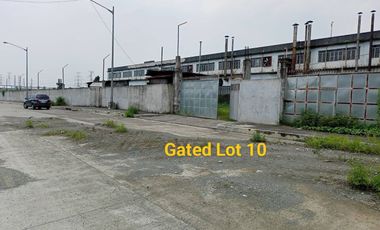 Industrial Commercial Lots in Mindanao Avenue Extension Caybiga Caloocan near NLEX