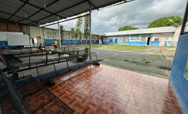 En venta propiedad de 12,000 m2 en el cantón Lomas del Sargentillo a 25 minutos de Guayaquil.