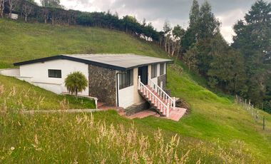 PR16952 Arriendo de casa en el sector Alto de Palmas