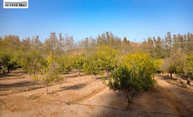 SE VENDE HERMOSA CASA EN CONDOMINIO , SECTOR LOS NARANJOS