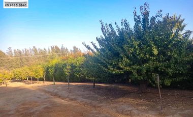 SE VENDE HERMOSA CASA EN CONDOMINIO , SECTOR LOS NARANJOS