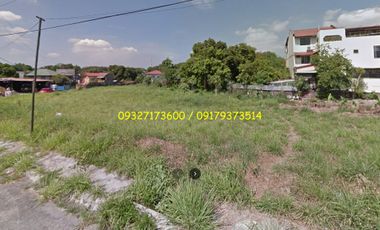 Corner Lot For Sale Near Metro Manila District Jail Annex 4 Geneva Garden Neopolitan VII