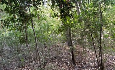 Vende Derechos Sitio Vilches 1000 M2 (San Clemente)