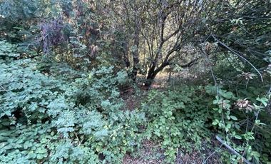 Vende Derechos Sitio Vilches 1000 M2 (San Clemente)
