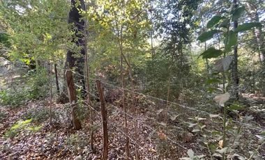 Vende Derechos Sitio Vilches 1000 M2 (San Clemente)