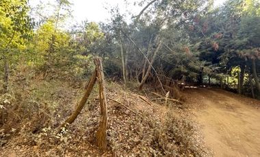 Vende Derechos Sitio Vilches 1000 M2 (San Clemente)