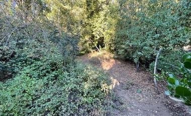 Vende Derechos Sitio Vilches 1000 M2 (San Clemente)