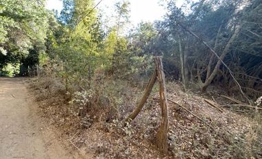 Vende Derechos Sitio Vilches 1000 M2 (San Clemente)