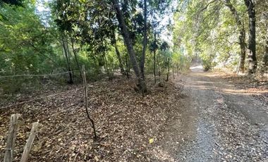 Vende Derechos Sitio Vilches 1000 M2 (San Clemente)