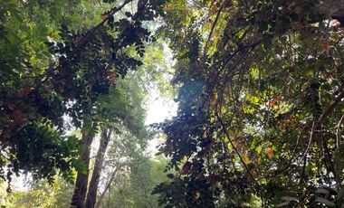 Vende Derechos Sitio Vilches 1000 M2 (San Clemente)
